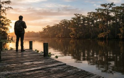 Understanding Terms, Costs, and Eligibility for Louisiana Recreational Land Loans